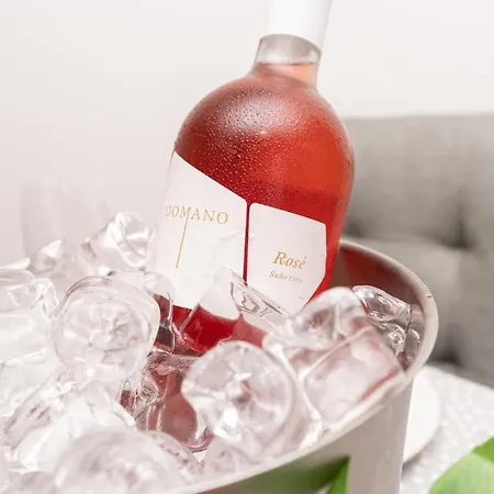 Chameleon * Dubrovnik