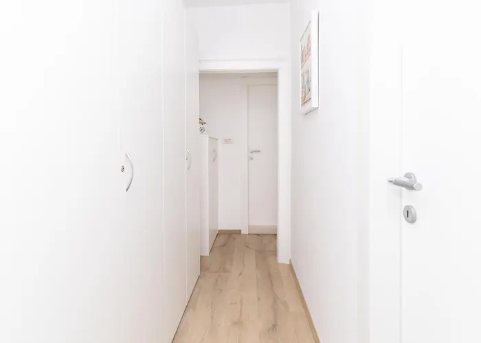 Chameleon Apartamento