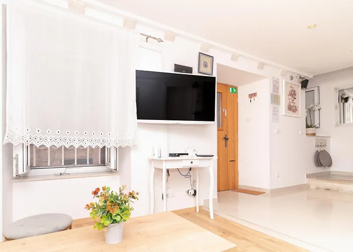 Chameleon * Dubrovnik